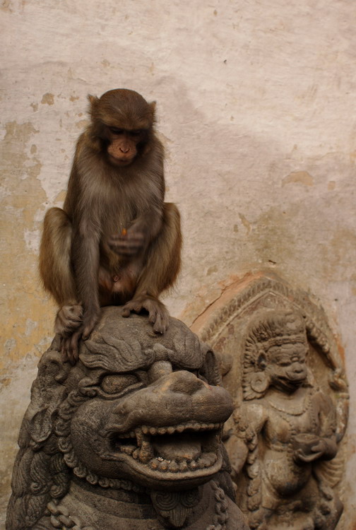 Nepal, Swayambhunath or Monkey temple