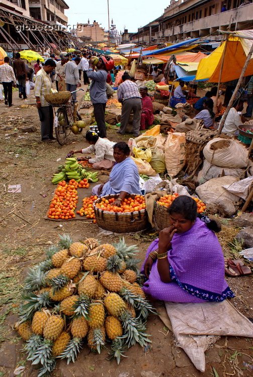 India, Bangalore market