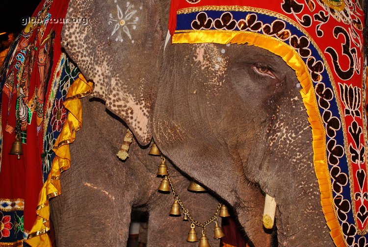 India, Puducherry, Lakshmi elephan