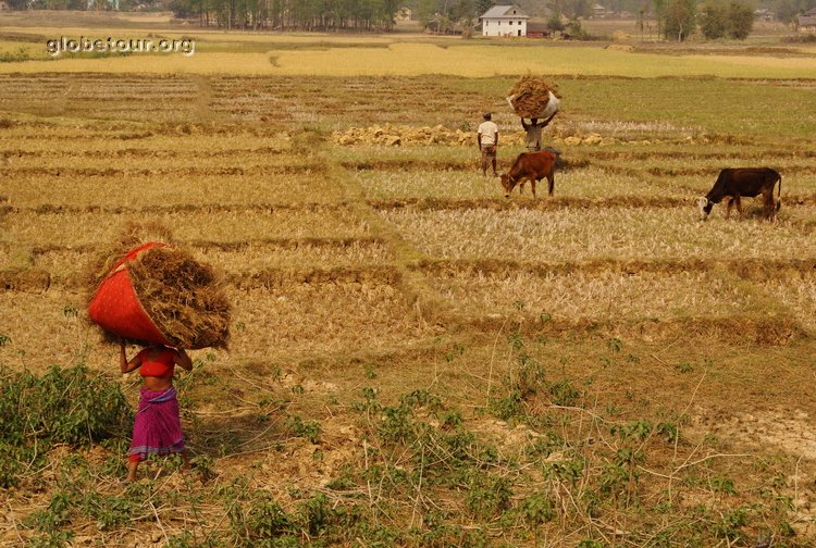 Nepal, lann/DSCape