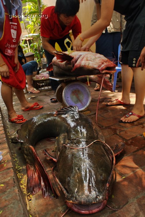 Laos, Luang Prabang, market