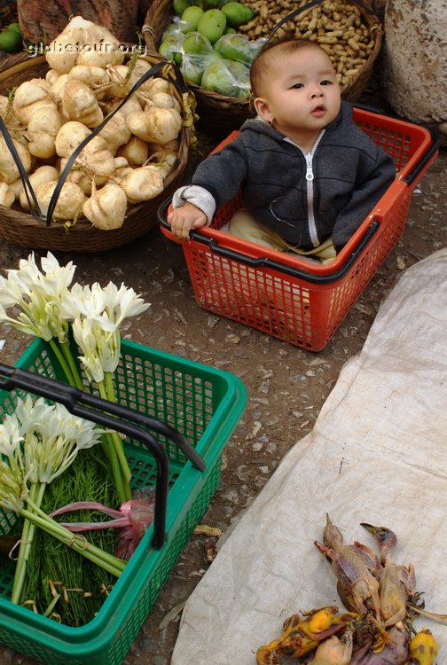 Laos, Luang Prabang, market