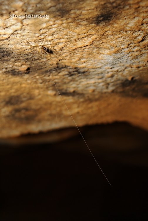 Laos, Vam Vieng, caves