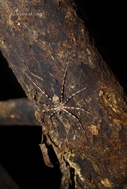 Laos, Vam Vieng, caves