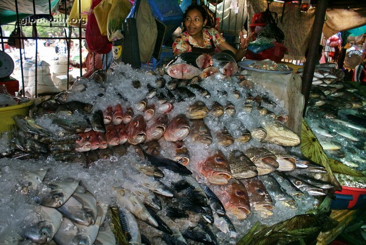 Cambodia, Phnom Phen, central market