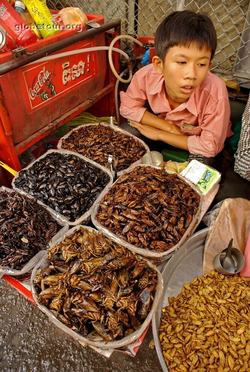 Cambodia, Phnom Phen, central market, insects an spider shop