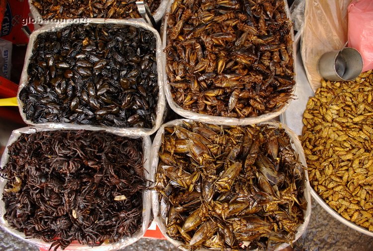 Cambodia, Phnom Phen, central market, insects an spider shop