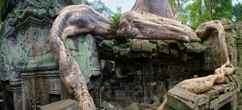 Cambodia, Angkor, Ta Prohm temple