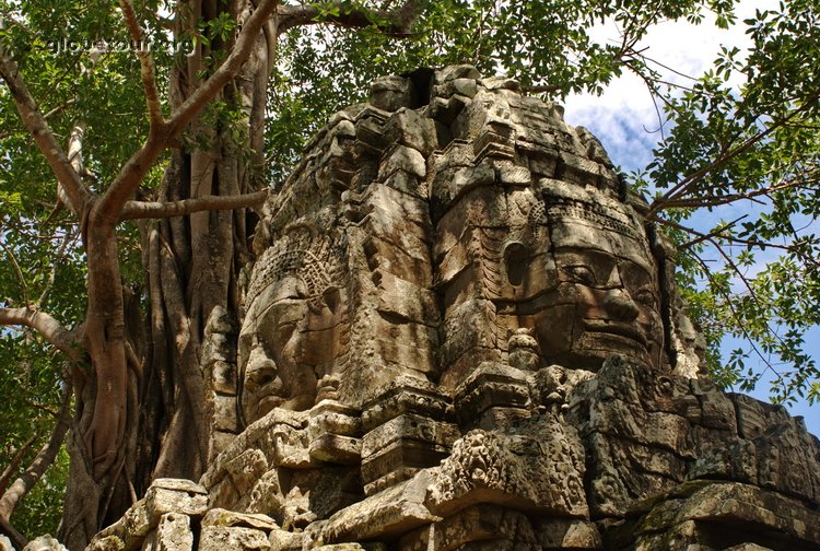 Cambodia, Angkor, Ta Som