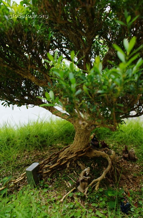 Malaysia, Penang, bonsai in chinesse temple