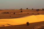 Mauritania,+en+el+desierto