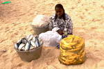 Mauritania,+Nouakchott,+puerto+de+la+pesca