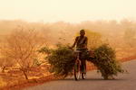 Niger,+Camino+de+Maradi