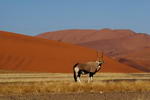 Namibia,+Sossusvlei