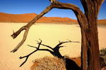 Namibia,+Sossusvlei