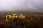 South+Africa,+Cederberg+Mountains