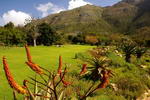 South+Africa,+Cape+Town,+Kirstenbosch+Botanical+Gardens