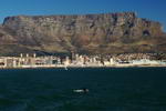 South+Africa,+Cape+Town,+dolphin+in+front+of+Table+Mountain