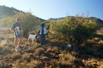 South+Africa,+farm+in+Graaff-Reinet