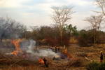 Malawi,+from+Lilongwe+to+Cape+Maclear,+burning+forest