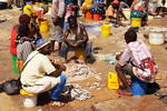 Tanzania,+Dar+Es+Salam,+fish+market