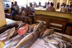 Tanzania,+Dar+Es+Salam,+fish+market