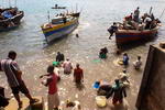 Tanzania,+Dar+Es+Salam,+fish+market