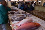 Tanzania,+Dar+Es+Salam,+fish+market