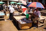 Tanzania,+Dar+Es+Salam,+fish+market