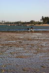 Tanzania,+Bagamoyo+beach