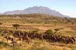 Ethiopia,+Chereher+mountains