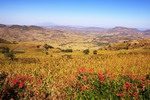 Ethiopia,+Chereher+mountains