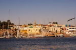 Egipt,+Aswan,+Elephantine+island