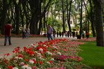 Turkey,+Istambul,+park