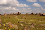 Turkey,+Ani+walls+ruins