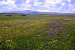 Turkey,+Anatolia+views