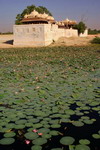 India,+Bikaner,+Devi+Kund