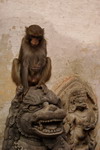 Nepal,+Swayambhunath+or+Monkey+temple