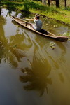 India,+Backwaters