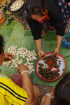 Laos,+Luang+Prabang,+market,+insects