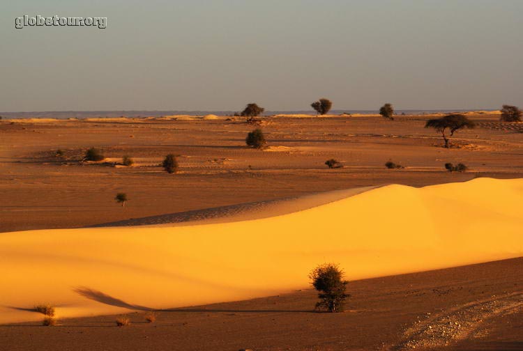 Mauritania, en el desierto