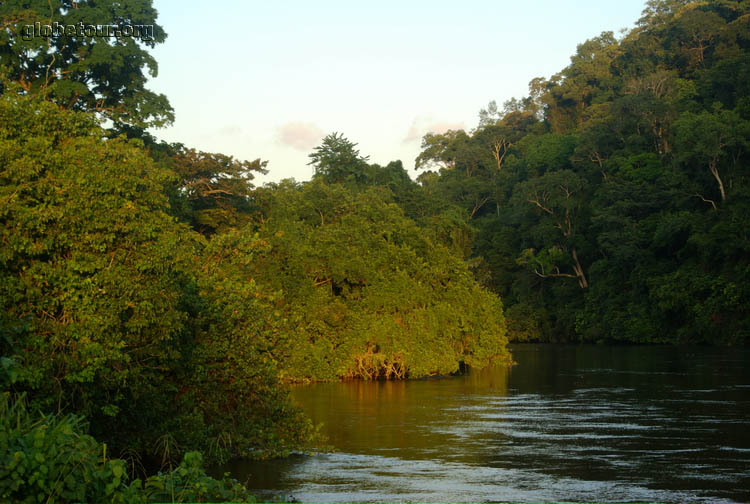 Gabon,  en la selva