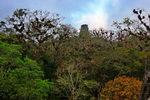 Guatemala,+Tikal